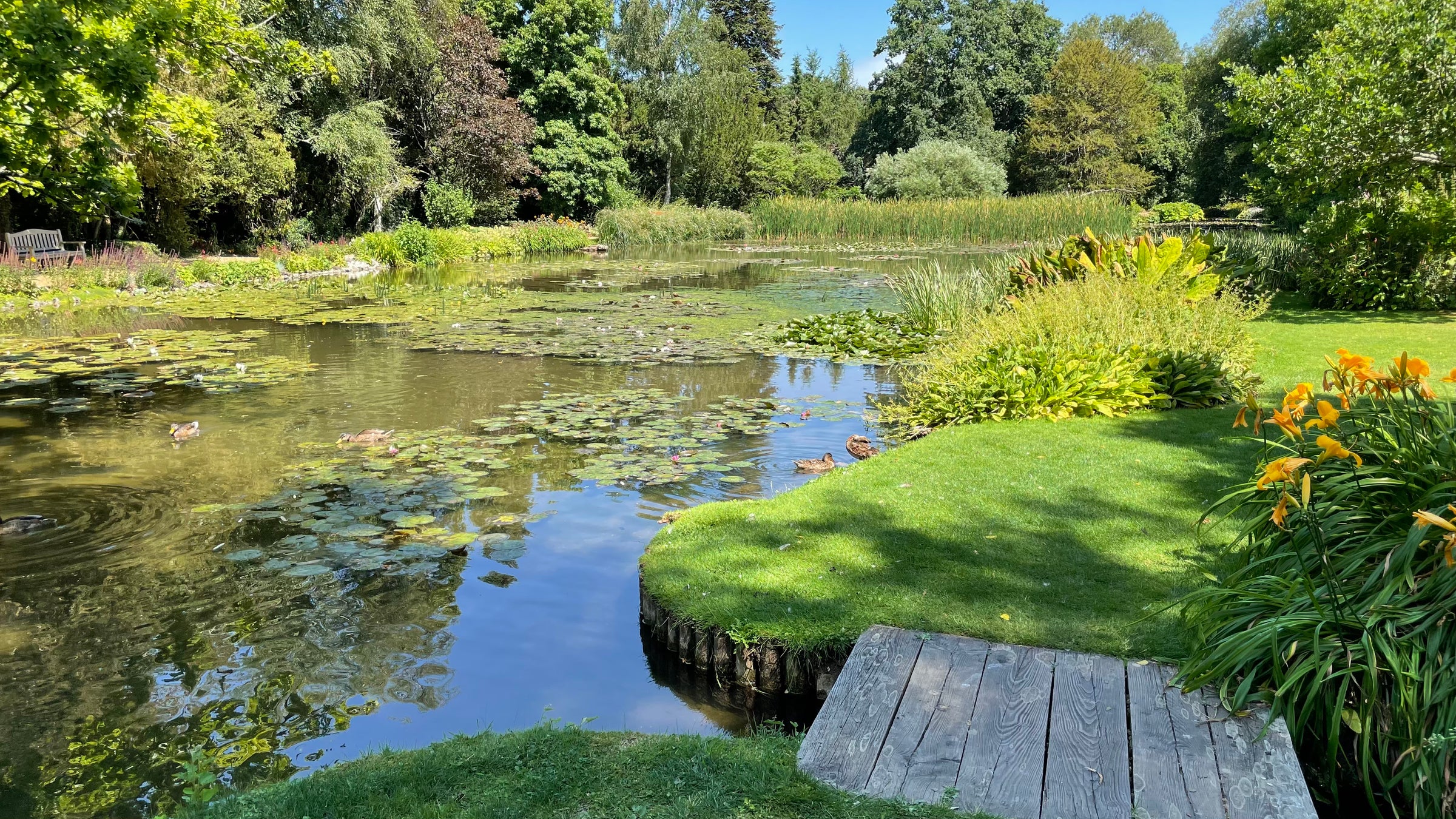 Longstock water garden on a sunny day